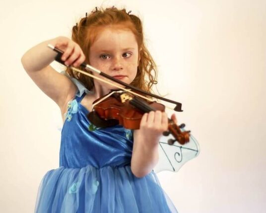 Fairy Violinist